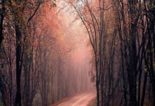 PG电子试玩官网-赫塔菲中场双核突陷迷雾！攻防崩盘背后的深层危机