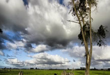 PG电子试玩官网-鹿岛鹿角调整进攻阵容，应对强力防守