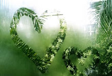 PG平台-江蘇黑马破局！歷史性逆襲背後的熱血密碼