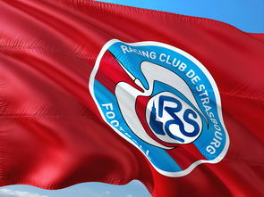 PG电子试玩官网-帕尔梅拉斯新援适应良好，世俱杯表现备受期待