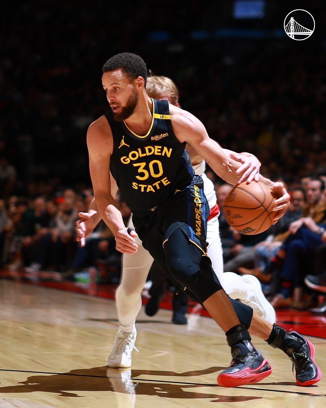 猛龙队战胜黄蜂队，取得比赛胜利