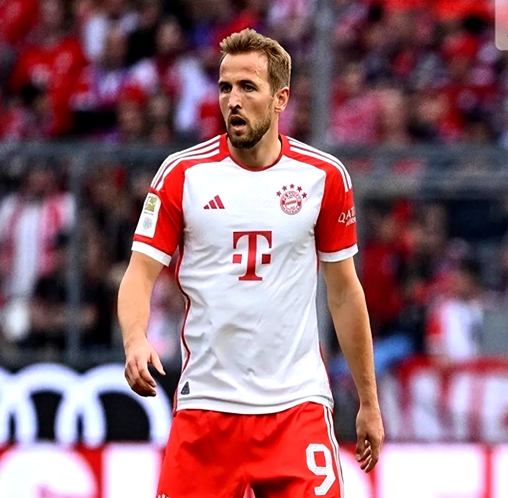 包含奥格斯堡客场战胜汉诺威，实现保级目标的词条