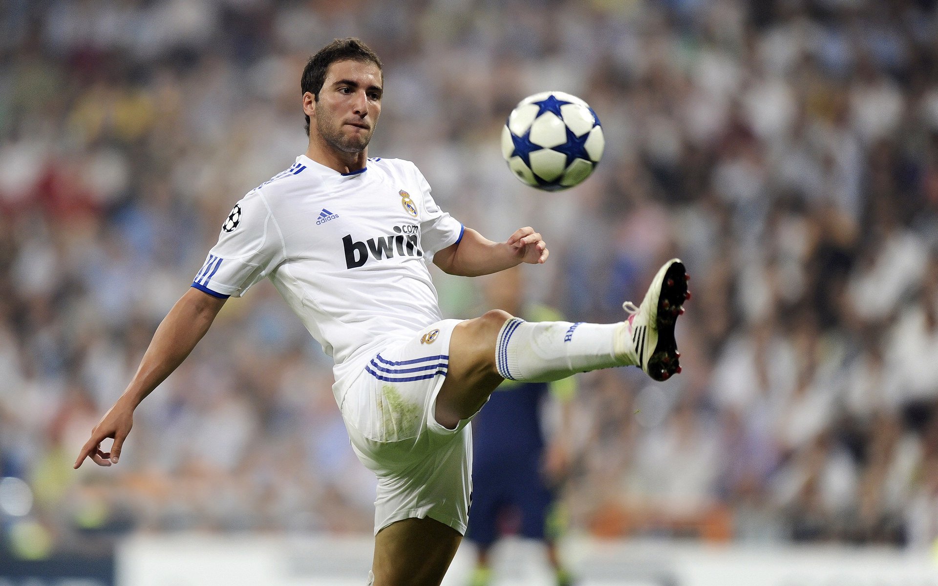 中锋在三分线外写剧本，戈贝尔一球击碎所有质疑