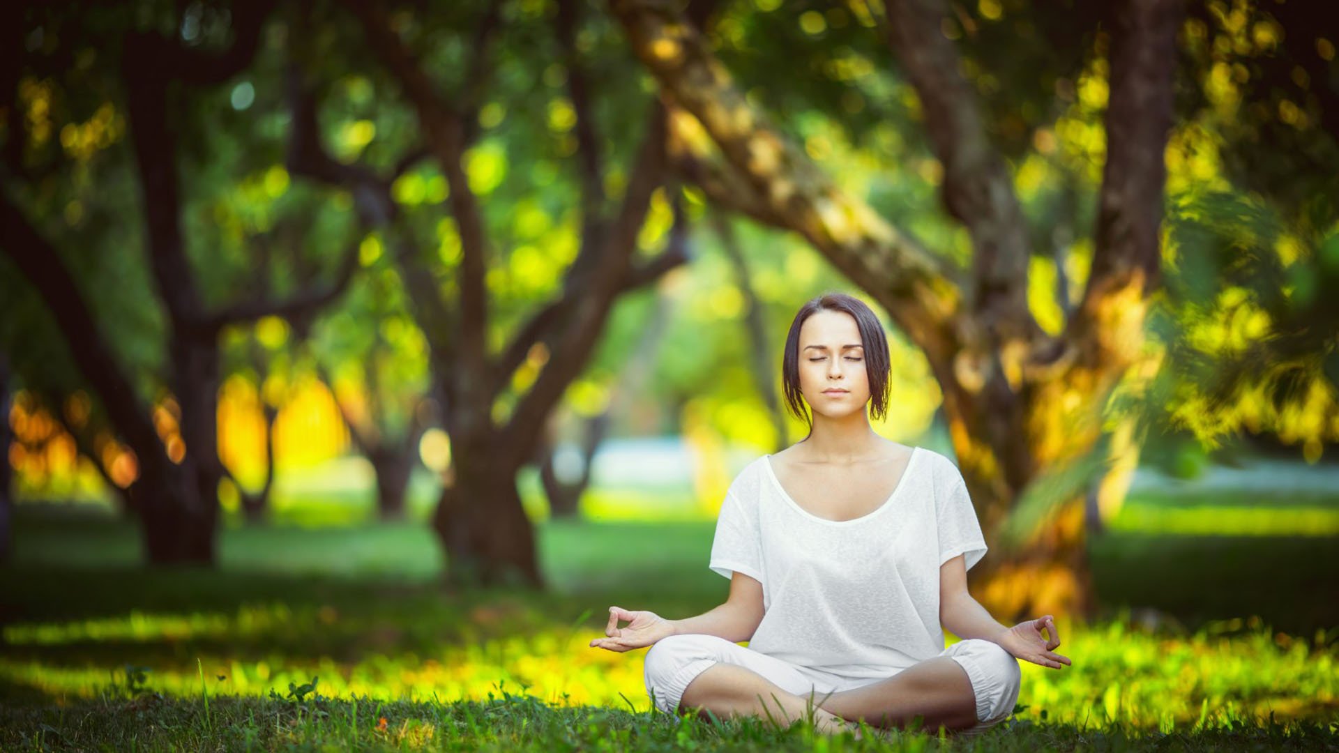 PG中国登录入口-孤勇者之巅，2026世界杯D组强强对话，芬兰完胜印度，范戴克以铁血定义唯一